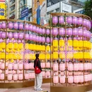 香港旅游 缩略图 6