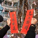 香港旅游 缩略图 10
