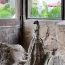 香港旅游 缩略图 6