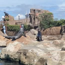 香港旅游 缩略图 11