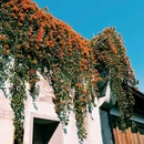 三坊七巷 - 福州市旅游 缩略图 4
