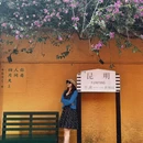 滇池 - 昆明市旅游 缩略图 3