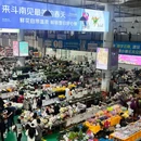 滇池 - 昆明市旅游 缩略图 7
