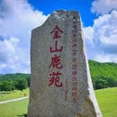 飞泷金山鹿苑 - 伊春市旅游 缩略图 1