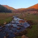 飞泷金山鹿苑 - 伊春市旅游 缩略图 3