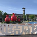 清真大寺 - 呼和浩特市旅游 缩略图 8