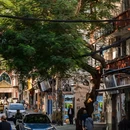 厦门旅游 缩略图 13