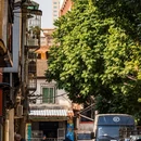 厦门旅游 缩略图 4