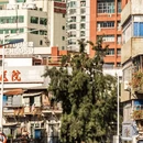 厦门旅游 缩略图 16