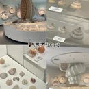 大连旅游 缩略图 5