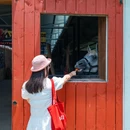 德清县人民政府 - 湖州市旅游 缩略图 7