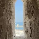 亚历山大旅游 缩略图 3