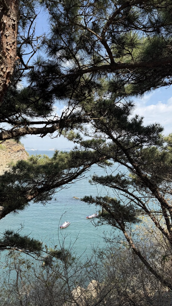大连旅游