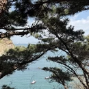 大连旅游 缩略图 1