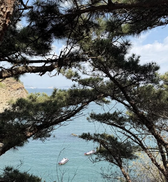 大连旅游 1