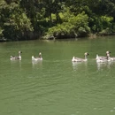 桂林旅游 缩略图 7