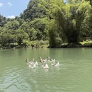 桂林旅游 缩略图 5
