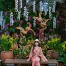 新加坡 - 其他旅游 缩略图 6