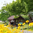 良渚古城遗址公园 - 杭州市旅游 缩略图 5