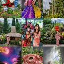 新加坡 - 其他旅游 缩略图 1