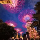 新加坡 - 其他旅游 缩略图 14