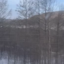 哈尔滨旅游 缩略图 6