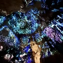 桂林旅游 缩略图 13