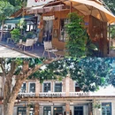 厦门旅游 缩略图 3