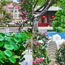 厦门旅游 缩略图 12