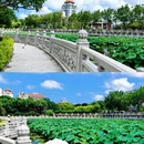厦门旅游 缩略图 11