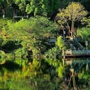 重庆彩云湖国家湿地公园 - 重庆市旅游 缩略图 5