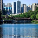 重庆彩云湖国家湿地公园 - 重庆市旅游 缩略图 1