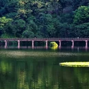 重庆彩云湖国家湿地公园 - 重庆市旅游 缩略图 6