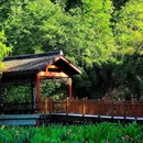 重庆彩云湖国家湿地公园 - 重庆市旅游 缩略图 7
