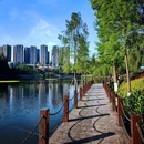 重庆彩云湖国家湿地公园 - 重庆市旅游 缩略图 10