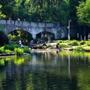 重庆彩云湖国家湿地公园 - 重庆市旅游 缩略图 11