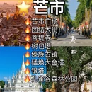 昆明旅游 缩略图 6