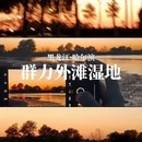 哈尔滨旅游 缩略图 7