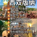 昆明旅游 缩略图 4