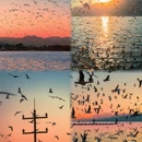 昆明旅游 缩略图 5