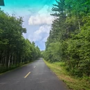 哈尔滨旅游 缩略图 14