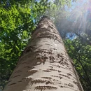 哈尔滨旅游 缩略图 11