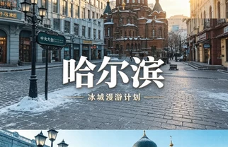 被哈尔滨硬控的夏天，谁懂啊！📍
