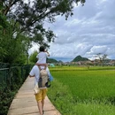 昆明旅游 缩略图 4