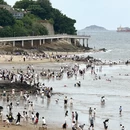 厦门旅游 缩略图 1