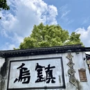 嘉兴旅游 缩略图 3