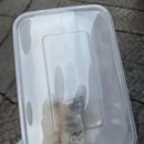嘉兴旅游 缩略图 11