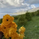 博尔塔拉旅游 缩略图 8