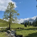 伊犁旅游 缩略图 10