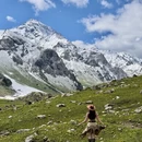 伊犁旅游 缩略图 13